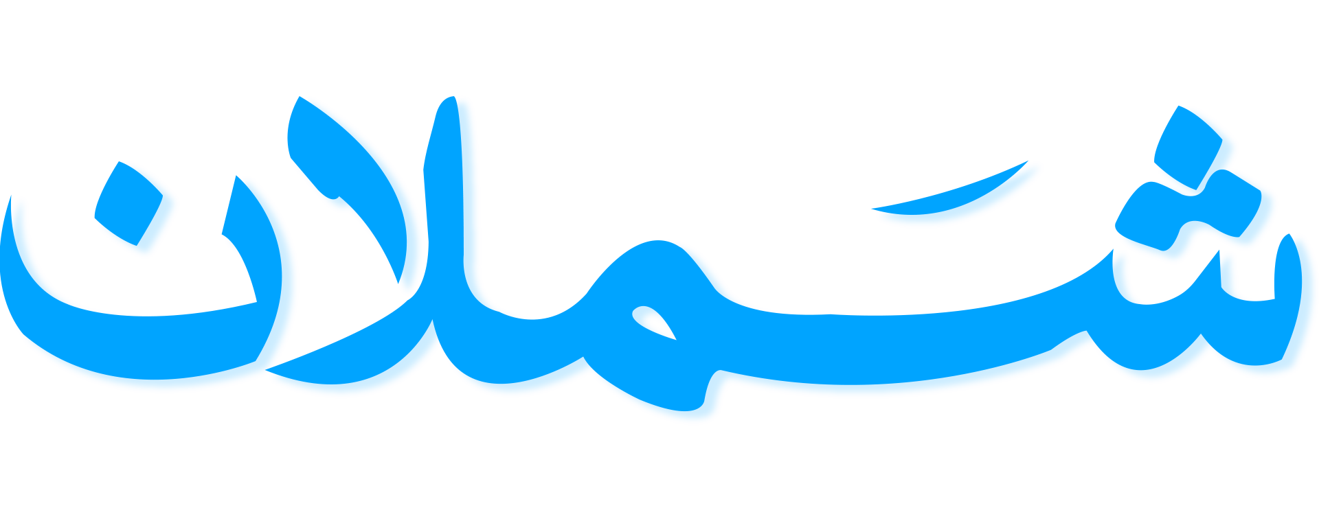 Footer Logo